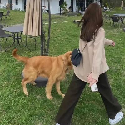 如何输掉一场人气竞赛